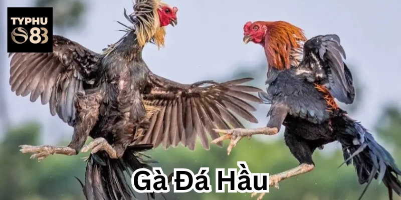 Bài học xương máu