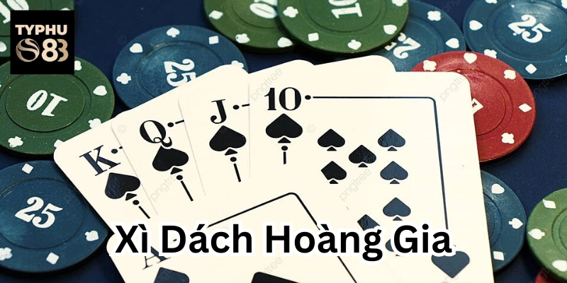 Xì Dách Hoàng Gia và những lưu ý quan trọng